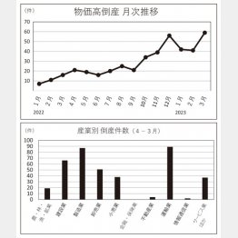 物価高倒産の月次推移と産業別の倒産件数（Ｃ）日刊ゲンダイ