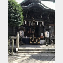 小野照崎神社（提供写真）