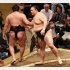 千代翔馬（左）を寄り切りで破った朝乃山（Ｃ）日刊ゲンダイ