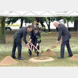 広島市の平和記念公園で植樹するG7の各国首脳ら（左からマクロン仏大統領、岸田首相、バイデン米大統領）／（Ｃ）共同通信社