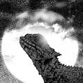 （32）トカゲの皮をかぶって昇る太陽