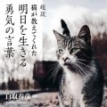 「超訳 猫が教えてくれた明日を生きる 勇気の言葉」白取春彦編訳
