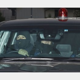 青木政憲容疑者（後部座席）を乗せ、長野県警中野署に入る車26日午前4時54分（Ｃ）共同通信社