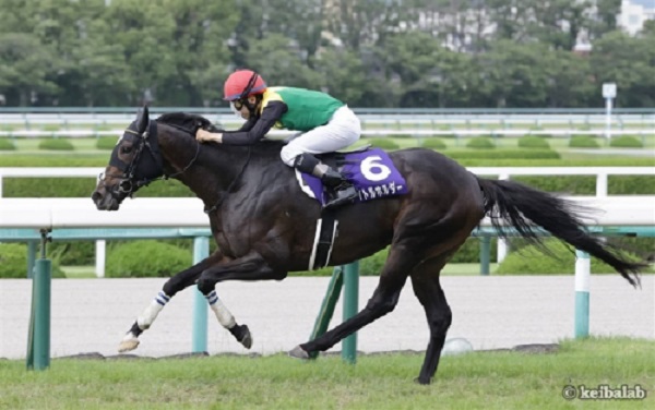 昨年の優勝馬タイトルホルダーは不在だが、豪華メンバーが集結