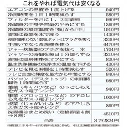 電気代で3万円以上の節約ができる！（Ｃ）日刊ゲンダイ