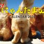 待望の壁掛け仕様『開運‼にゃんたまωカレンダー2024』発売中！対象ショップ限定の特典ご用意も！