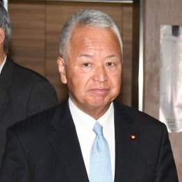 甘利明自民党前幹事長（Ｃ）日刊ゲンダイ