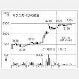 マクニカHDの株価チャート（Ｃ）日刊ゲンダイ