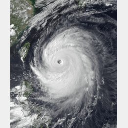 日本各地に大きな被害をもたらした2014年の台風8号の衛星画像（Ｃ）NOAA提供・ゲッティ＝共同
