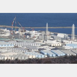 東京電力福島第1原発の敷地内に並ぶ処理水のタンク（Ｃ）共同通信社