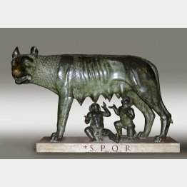 《カピトリーノの牝狼（複製）》ローマ市庁舎蔵 ©Roma, Sovrintendenza Capitolina ai Beni Culturali / Archivio Fotografico dei Musei Capitolini