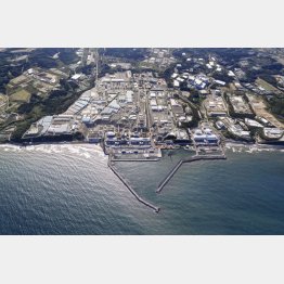 処理水の海洋放出が始まった東京電力福島第1原発（Ｃ）共同通信社