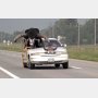 「助手席に牛が！」溺愛する牛を改造車にのせた米国男性が話題に