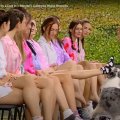 1分間に最も多くのソックスを脱がした犬 2回目の挑戦で世界新記録を樹立！