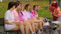 1分間に最も多くのソックスを脱がした犬 2回目の挑戦で世界新記録を樹立！