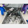 水揚げ激減のサケがないならブリがある！ 北海道白糠町「極寒ブリ」ブランド化までの紆余曲折