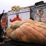 巨大カボチャの世界記録を約20kg更新！ なんと重さは約1247キロ