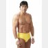プロレスラーの船木誠勝さん（提供写真）
