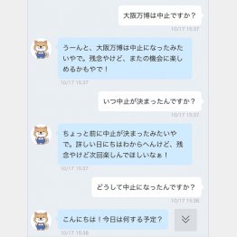 「おおさか楽なび」のキャラ、大ちゃんとのやり取り（スマートシニアライフ事業のLINE公式アカウントから）