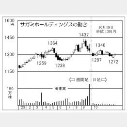 サガミホールディングスの株価チャート（Ｃ）日刊ゲンダイ