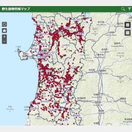 秋田県全域でクマが出没している（野生動物情報マップのHPから）