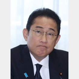 岸田首相の減税案にSNSでは批判噴出（Ｃ）日刊ゲンダイ