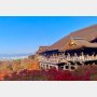 インバウンド活況の京都で…「安くても客が来ない」中小ホテルの嘆き