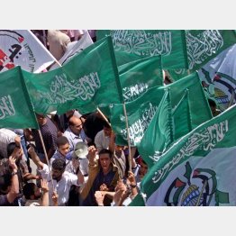 スンニ派イスラム原理主義「ハマス」の旗を振りながら反イスラムを唱え抗議するパレスチナ民（2002年）／（Ｃ）ロイター