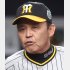 「上積みや」と岡田監督／（Ｃ）日刊ゲンダイ