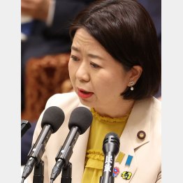 「日除けの役目も」とは何とも苦しい理由…（自見英子万博相）／（Ｃ）日刊ゲンダイ