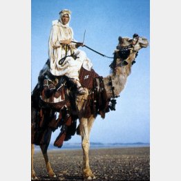 「アラビアのロレンス」（Ｃ）COLUMBIA PICTURES／Ronald Grant Archive／Mary Evans／共同通信イメージズ