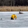 凍った湖で立ち往生するシカを救え！ 米国で決死の救出劇が話題に