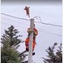 助けを求めて鳴いていたのに…カナダで猫が電柱の上から予測不能の大ジャンプ！