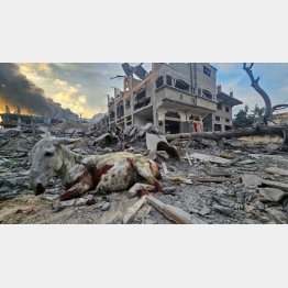破壊されたガザ地区（Ｃ）ロイター