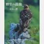 「野生の鼓動Part1 日本の鷲」真木広造撮影・監修