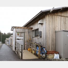 2011年の東日本大震災で建設された木造仮設住宅（当時）。これらの木材は、別の被災地へ移設され、今も再利用され続けている（Ｃ）共同通信社