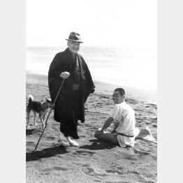 大磯の私邸近くの海岸を愛犬と散歩する吉田茂首相。2日前に首相の指名を受けた当時（1948＝昭和23＝年10月17日）／（Ｃ）共同通信社