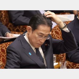 岸田首相はかねてから「政策集団」と繰り返し答弁していたのでは…？（Ｃ）日刊ゲンダイ