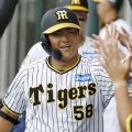 阪神キャンプ野手MVPが開幕左翼に現実味！ 岡田監督を唸らせた「高卒3年目」の名前