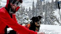 コロラドの雪崩で11カ月行方不明だった愛犬が…クラファン監視カメラで生存確認される奇跡