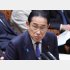 意味不明、支離滅裂（岸田首相）／（Ｃ）日刊ゲンダイ