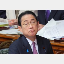 岸田首相の基準に自民党内は大荒れに反発、収拾不可能…（Ｃ）日刊ゲンダイ