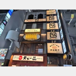 「渋谷餃子」新宿西口店は天下一品と牛角の間に挟まれたシチュエーション（C）コクハク（以下同・無断転載禁止）