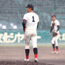 甲子園にも雨天時のプレーは付き物（Ｃ）日刊ゲンダイ