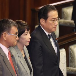 採決で起立する岸田首相（Ｃ）日刊ゲンダイ