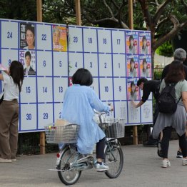 選挙ポスターを巡っては問題ばかり…（Ｃ）日刊ゲンダイ