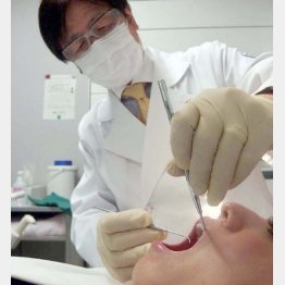 歯科ドック室長を務める美容歯科の真鍋厚史教授（提供写真）