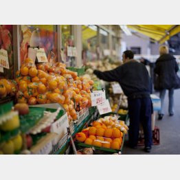 野菜や果物はビタミン、ミネラル、食物繊維、抗酸化物質などの宝庫（Ｃ）日刊ゲンダイ