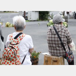 写真はイメージ（Ｃ）日刊ゲンダイ