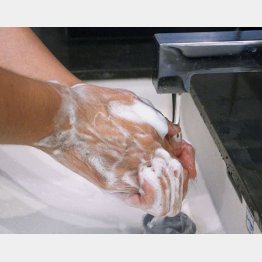 こまめな手洗いは必須（Ｃ）日刊ゲンダイ